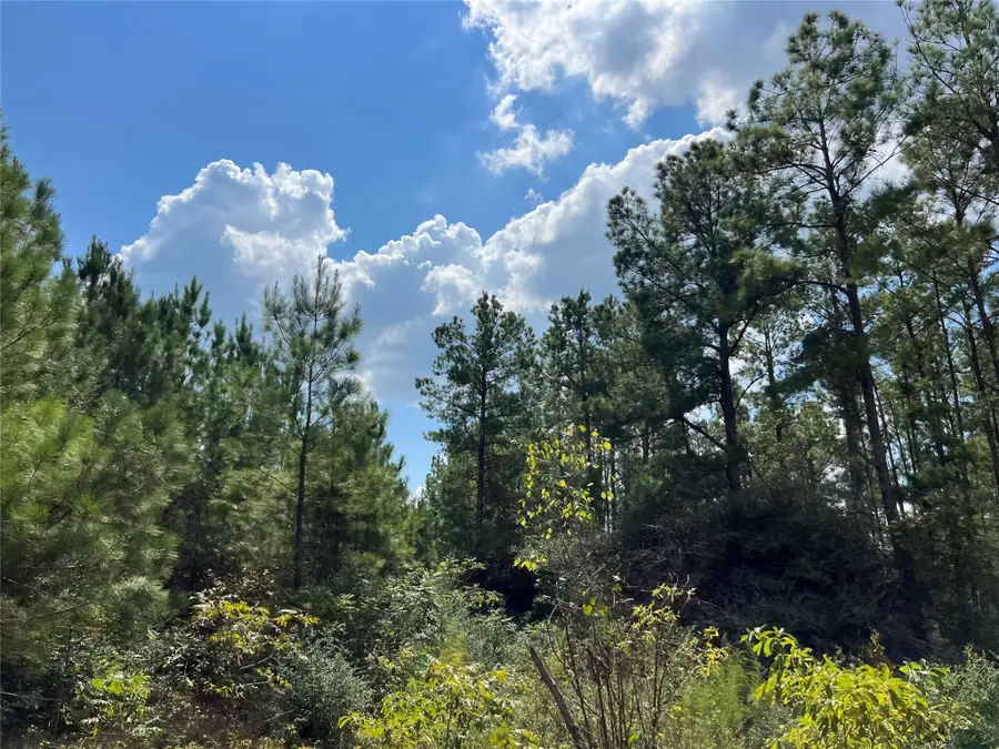 08 Fm 247, Huntsville, TX 77320 - Image #2