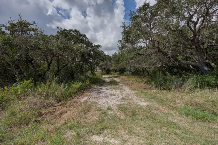 00 W Rhodes Avenue, Aransas Pass, TX 78336 - #2