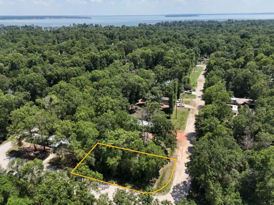 Lot 101 Ithica, Livingston, TX 77351 - #2