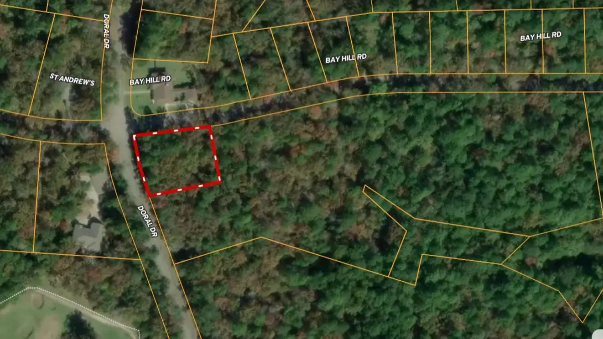 Lot 2 Bay Hill Road, Huntsville, TX 77320 - #1