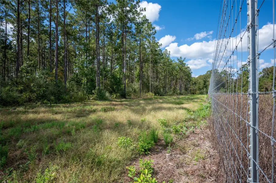 tbd Farm To Market 1745 N, Colmesneil, TX 75938 - #2