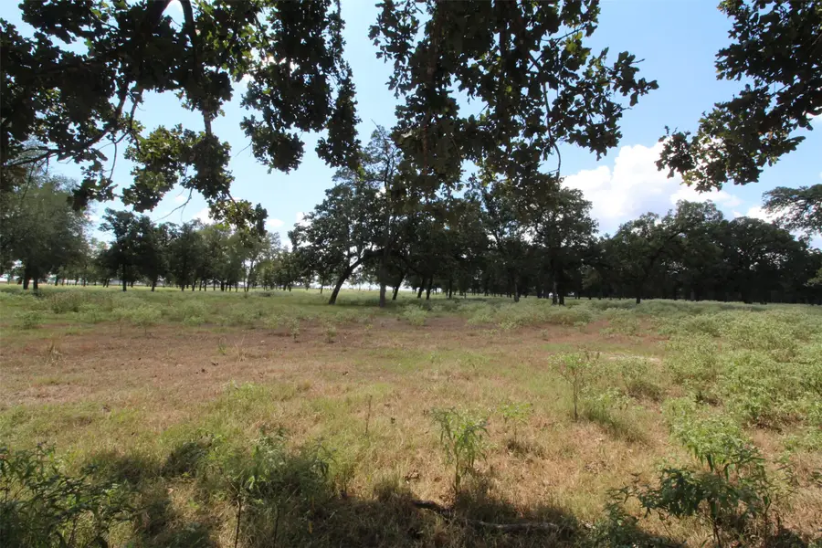 Tbd Bowler Road, Waller, TX 77484 - #2