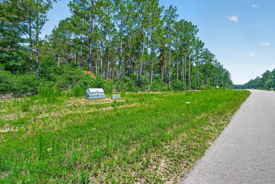 10721 Ruger Road, Willis, TX 77378 - #2