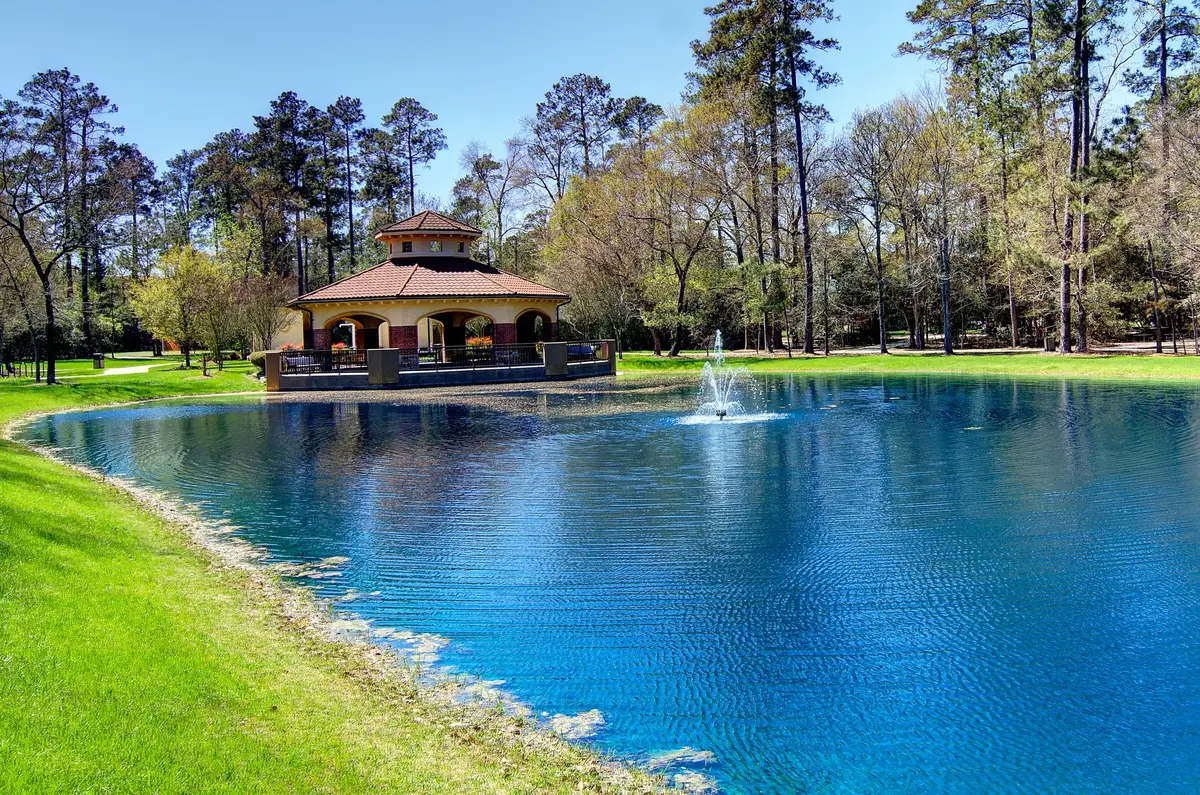 30 Lamerie Way, The Woodlands, TX 77382 - #1