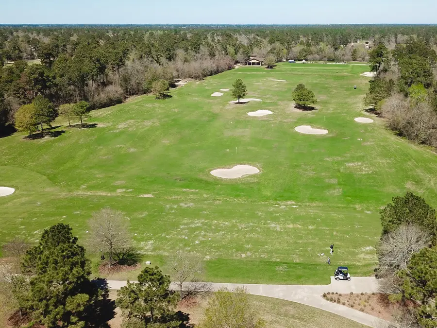 30 Lamerie Way, The Woodlands, TX 77382 - #2
