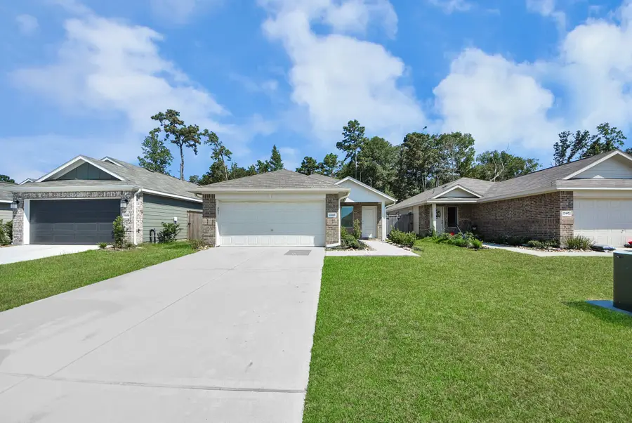 22443 Douglas Court, New Caney, TX 77357 - #2