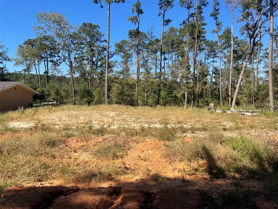 14808 Coaltown Road, Willis, TX 77378 - #3