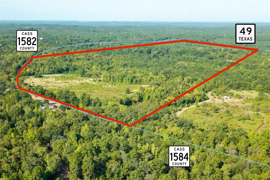 Lot 1 County Rd 1584, Avinger, TX 75630 - #2