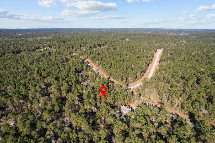 160 Brahman Lane, New Waverly, TX 77358 - #2