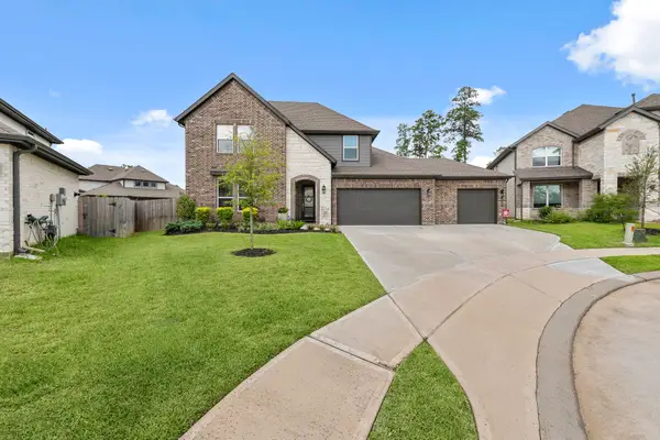 10009 Gray Jay Court, Conroe, TX 77384