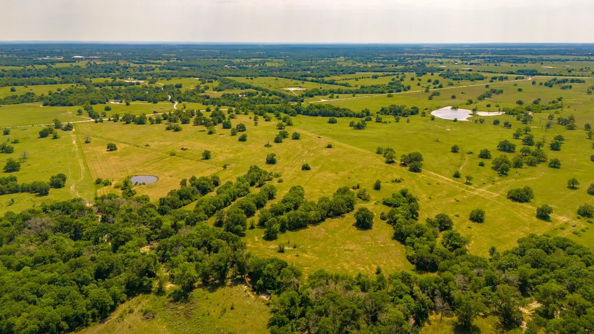 TBD Tract 14 & 15 Boyd Road, Madisonville, TX 77864 - Image #1