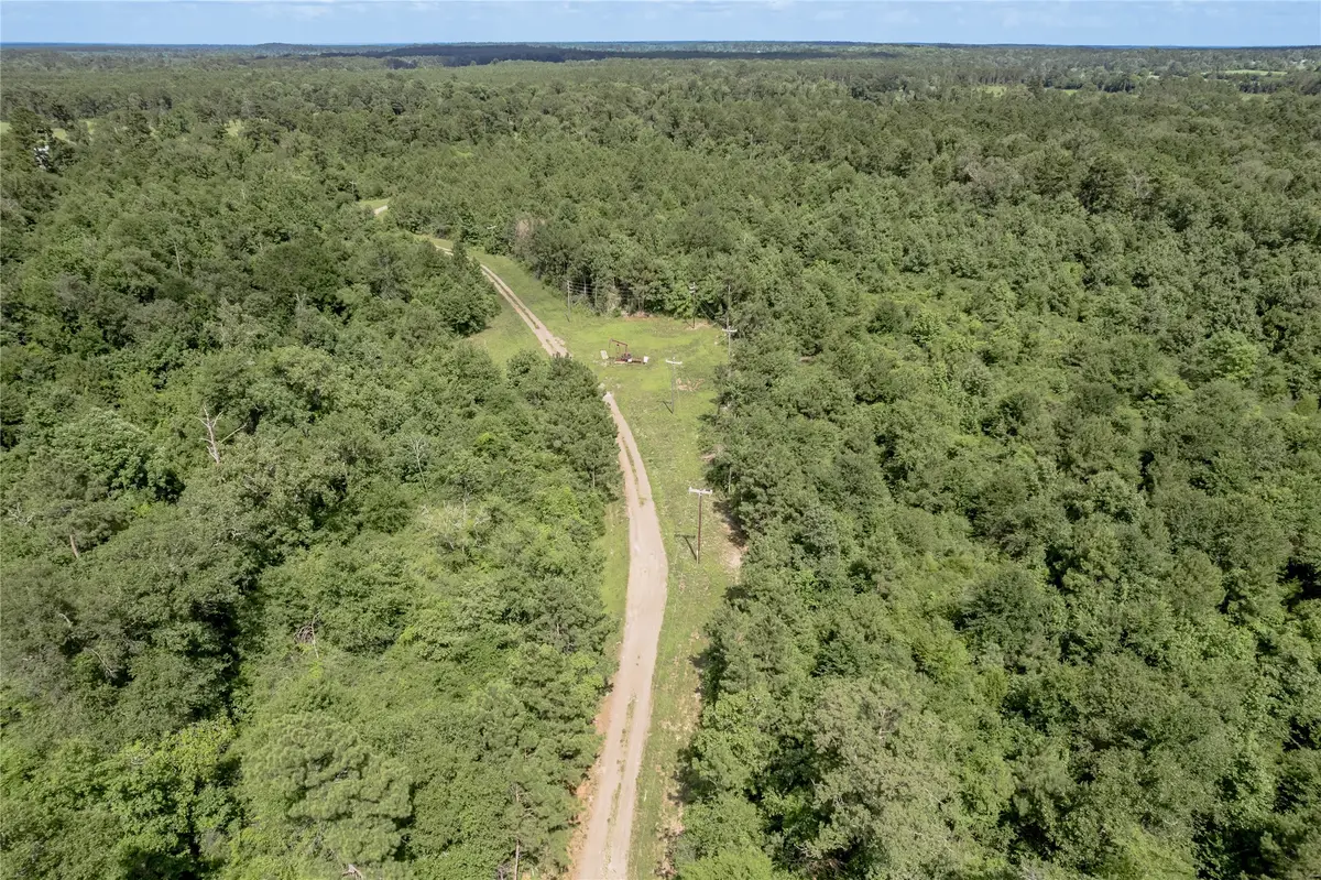 NA Off Gaston Road, Apple Springs, TX 75926 - #1