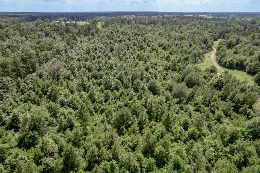 NA Off Gaston Road, Apple Springs, TX 75926 - #2