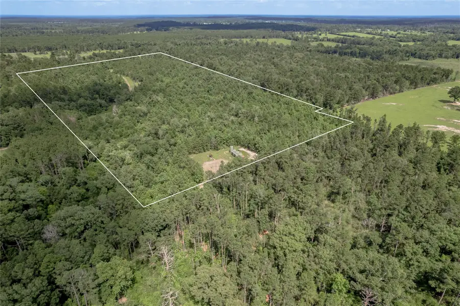 NA Off Gaston Road, Apple Springs, TX 75926 - #3