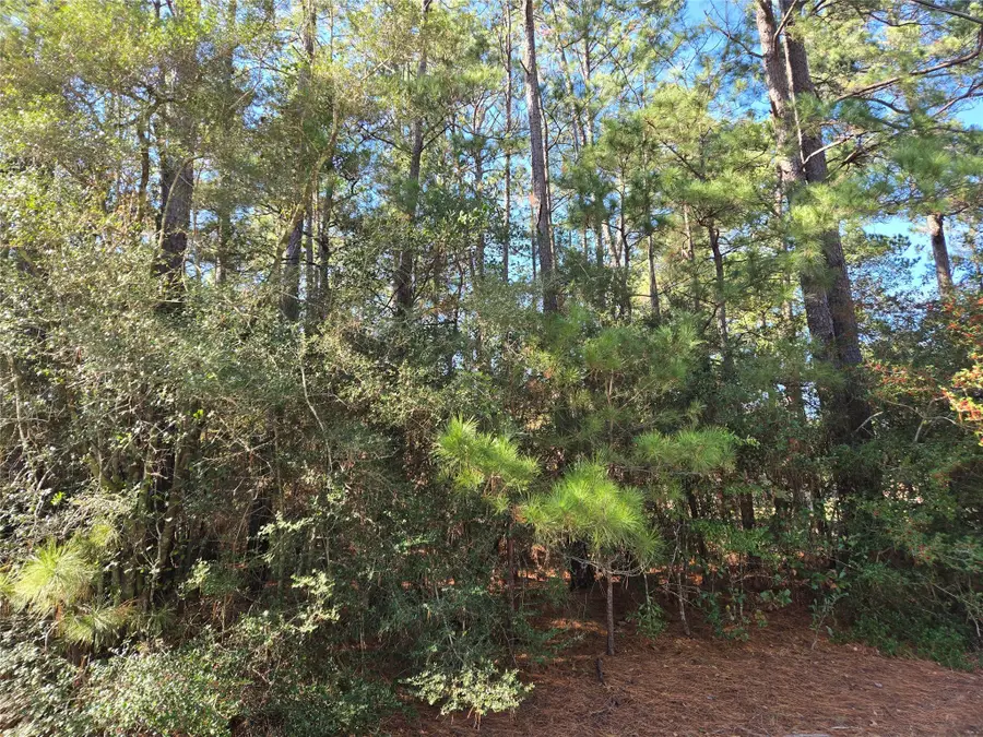 0 Cedar Ridge Street, Magnolia, TX 77354 - Image #2