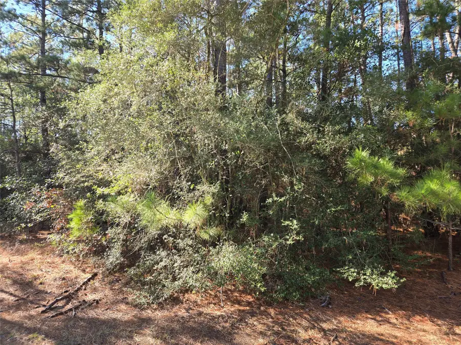 0 Cedar Ridge Street, Magnolia, TX 77354 - Image #3