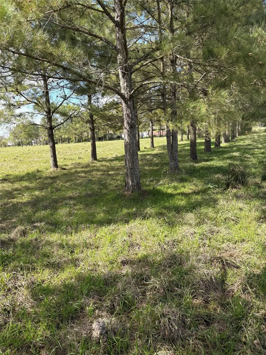 28161 W West Us Hwy 90 Highway W, Beaumont, TX 77713 - Image #3