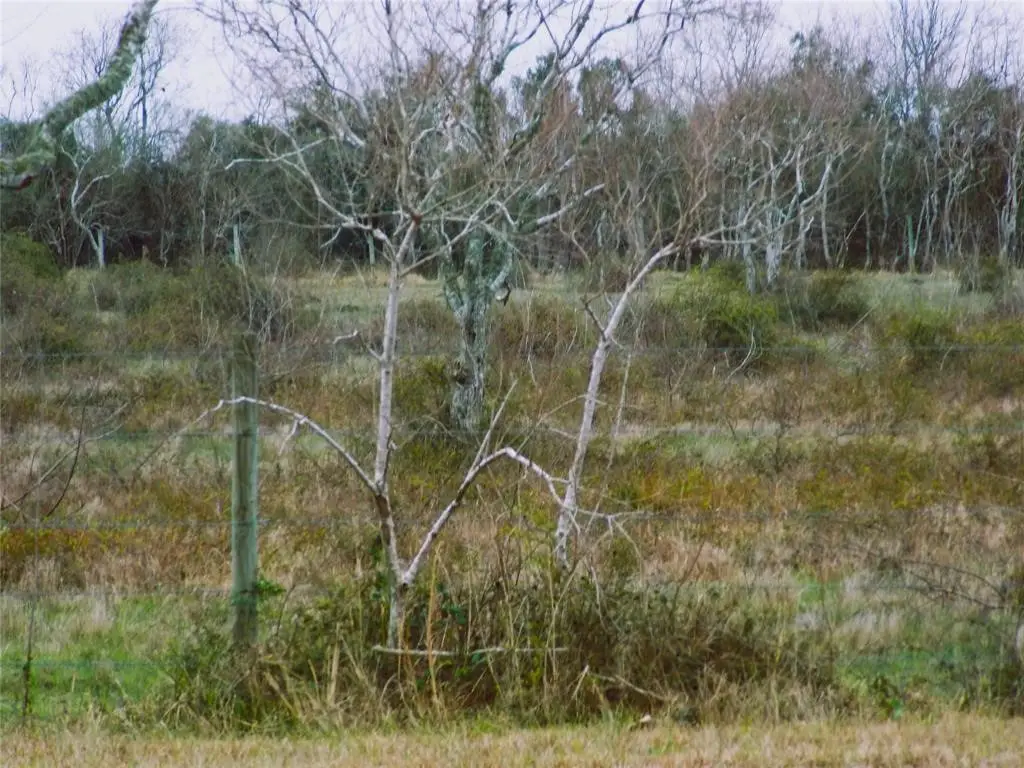 27235 Fm-2004, Angleton, TX 77515 - #1