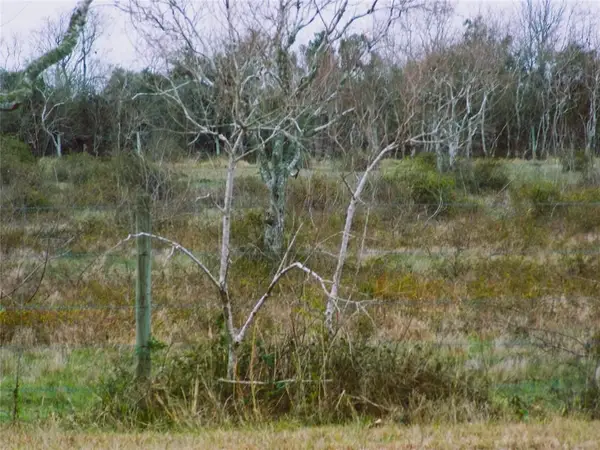 27235 Fm-2004, Angleton, TX 77515