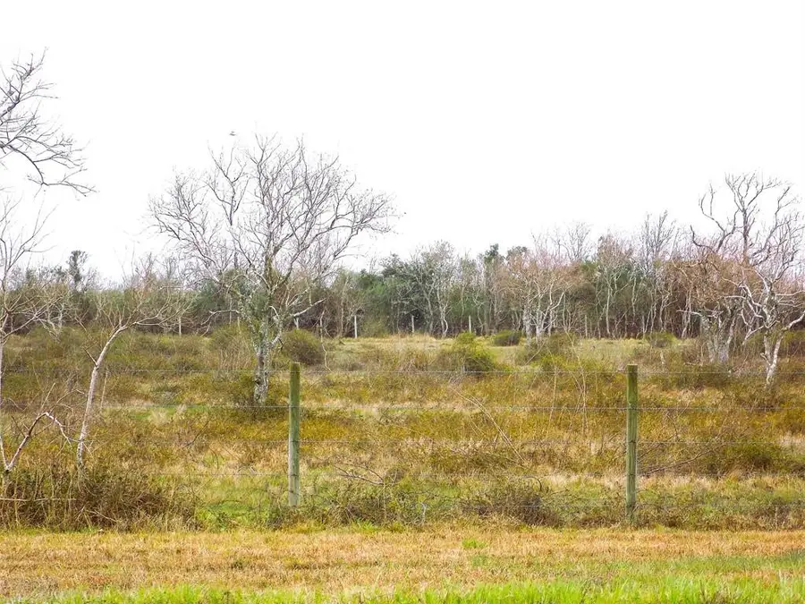 27235 Fm-2004, Angleton, TX 77515 - #2