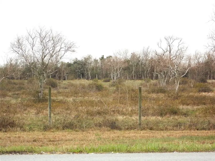 27235 Fm-2004, Angleton, TX 77515 - #3