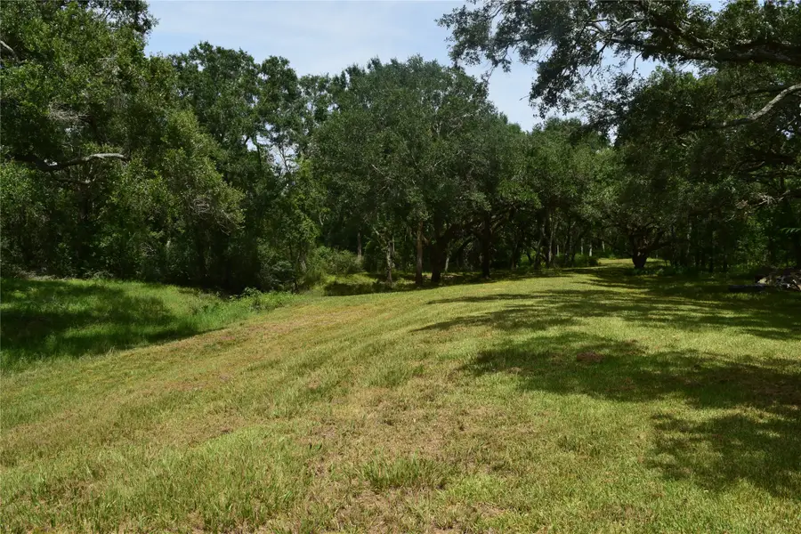 0 County Road 121, Rosharon, TX 77583 - Image #2
