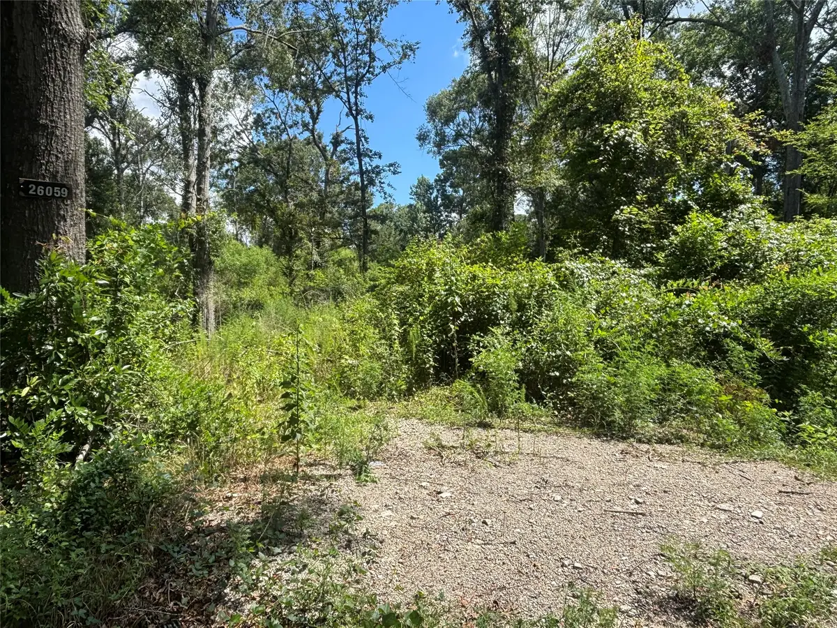 26059 E Christine Drive, Splendora, TX 77372 - #1