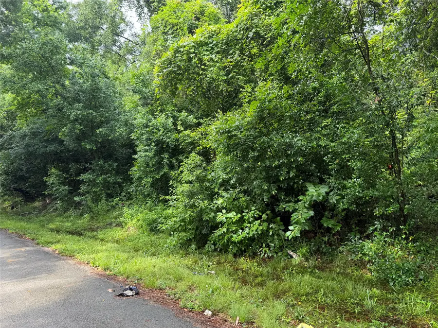 Lot 20 Idlewild Road, New Caney, TX 77357 - #2