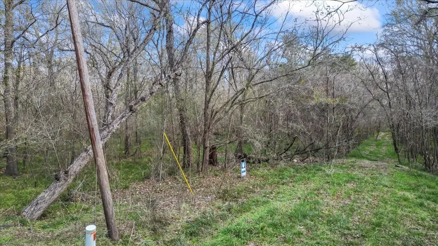 tbd County Road 2601, Hardin Rye, TX 77327 - #2