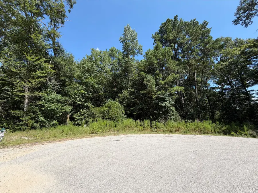 97-22-19 Granite Road, Huntsville, TX 77340 - #2