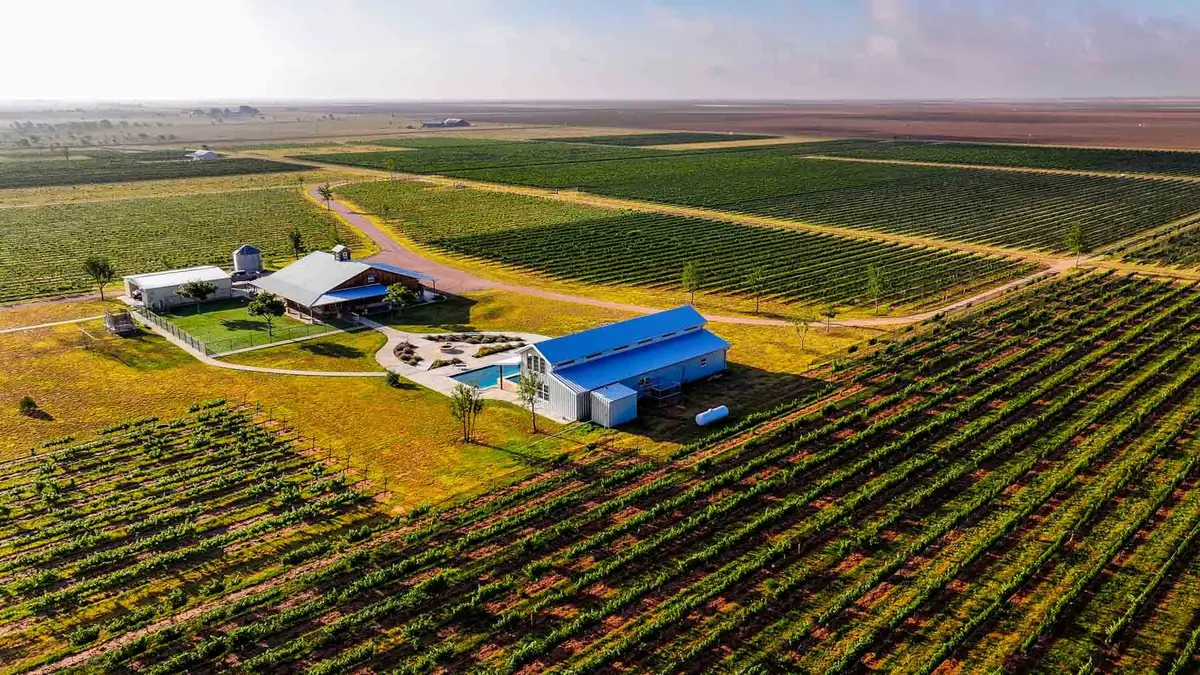 374 Fm 1317, Tahoka, TX 79373 - #1