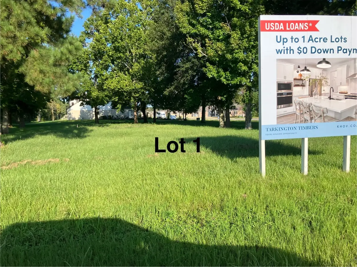 399 County Road 2268, Cleveland, TX 77327 - #1