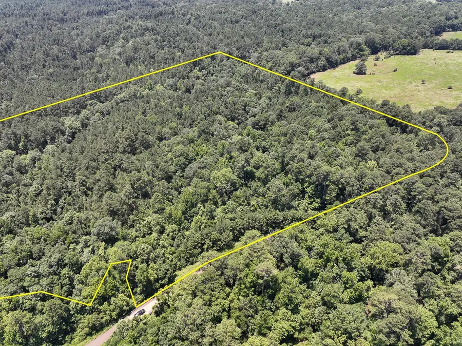 2 Lick Skillet Road, Milam, TX 75959 - #2