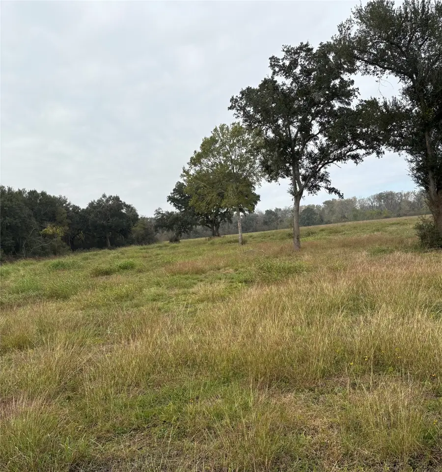 000000 Cr-42, Rosharon, TX 77583 - Image #2