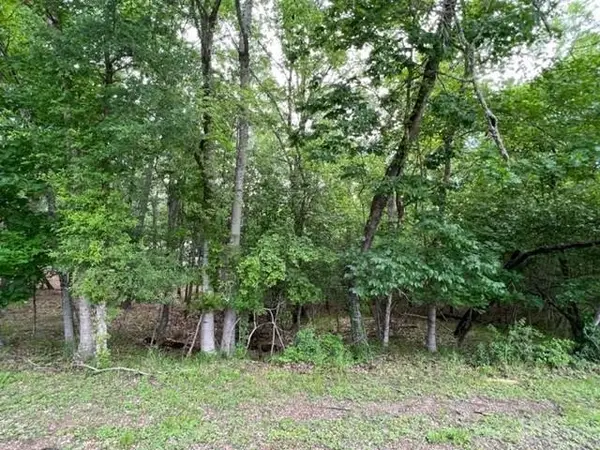 161 N Pine Harbour Drive, Coldspring, TX 77331