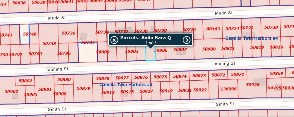 0 Janning Street Street, Coldspring, TX 77331 - Image #1