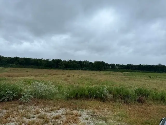 Lot 20 Clearlake Lane, Crockett, TX 75835 - #3