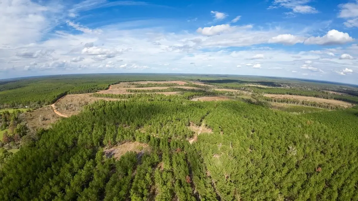 462 Timber Rd, Livingston, TX 77351 - #1