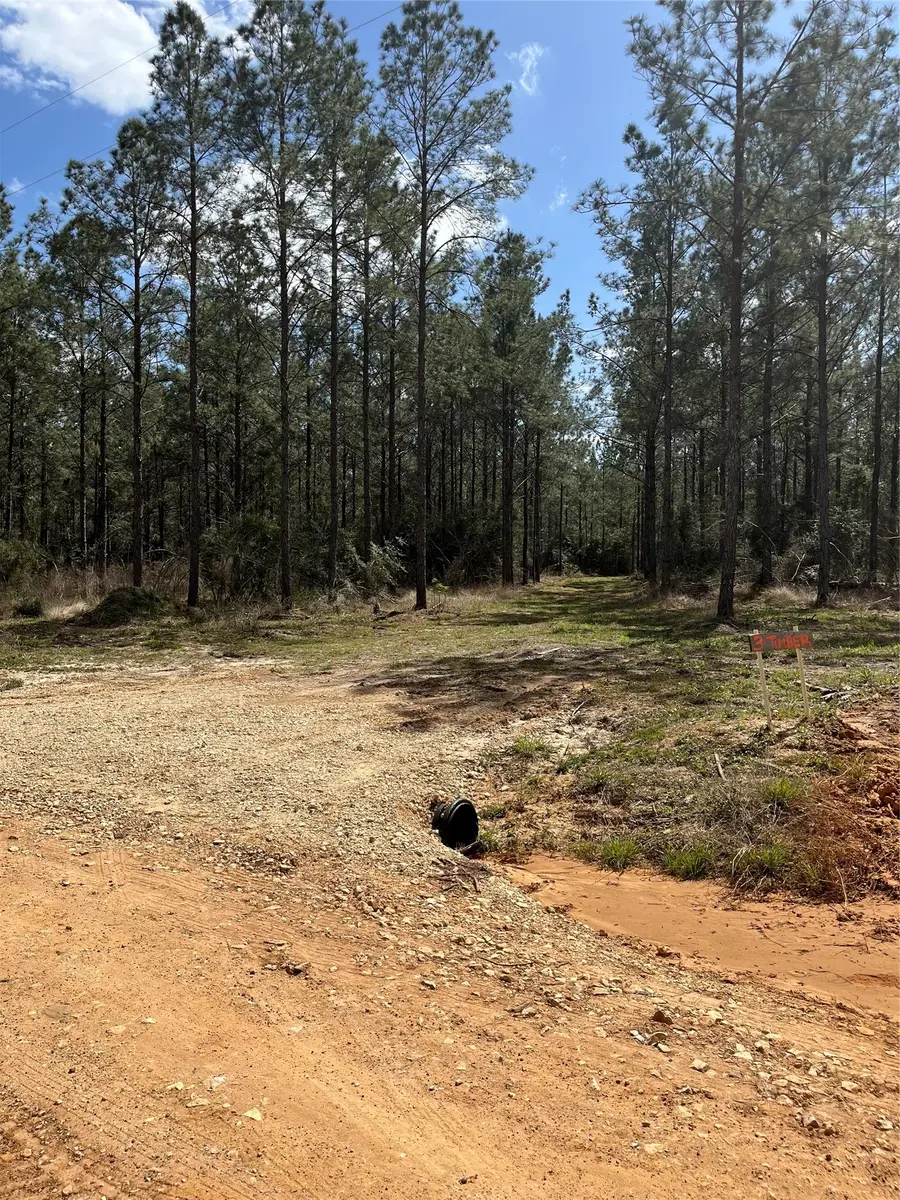 462 Timber Rd, Livingston, TX 77351 - #2