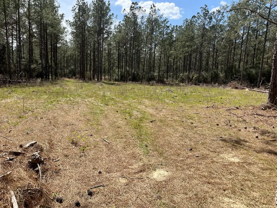 462 Timber Rd, Livingston, TX 77351 - #3