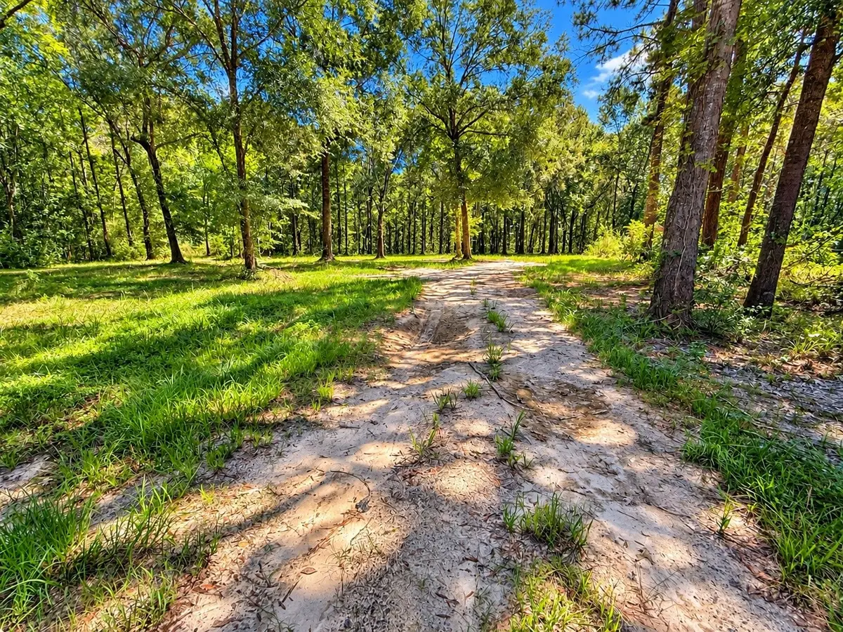 20275 Fm 770, Saratoga, TX 77585 - #1