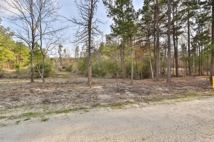 450 Williamson Way Way, Lovelady, TX 75851 - #3