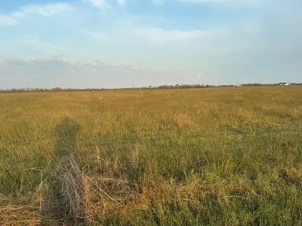 40 ACRES County Road 45, Angleton, TX 77515