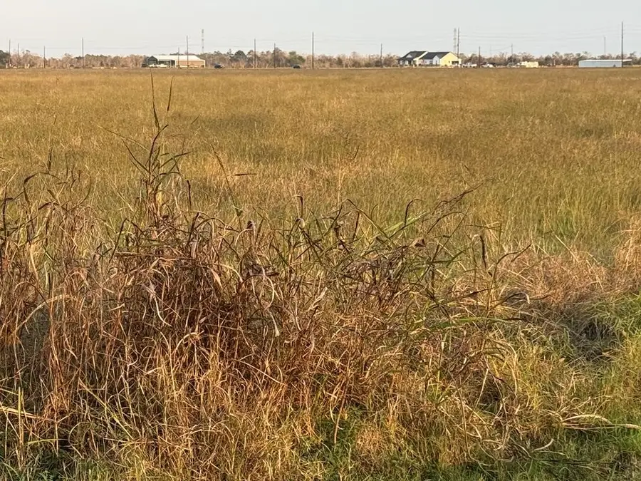 40 ACRES County Road 45, Angleton, TX 77515 - #3