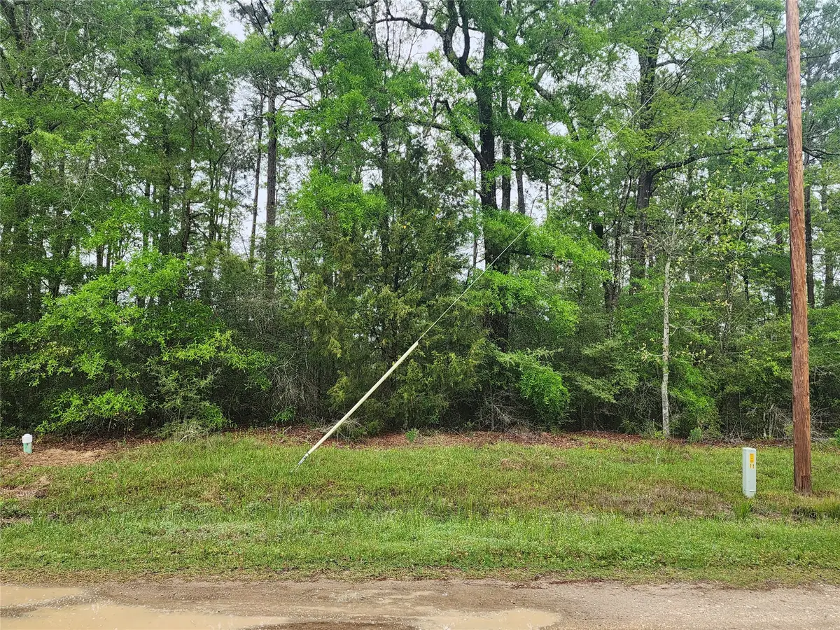 TBD Cloverdale, Livingston, TX 77351 - #1
