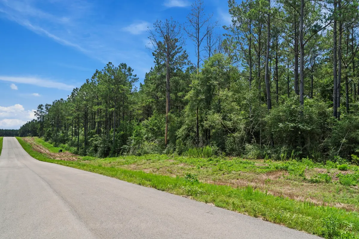 16303 Golden Wood Court, Willis, TX 77378 - #1