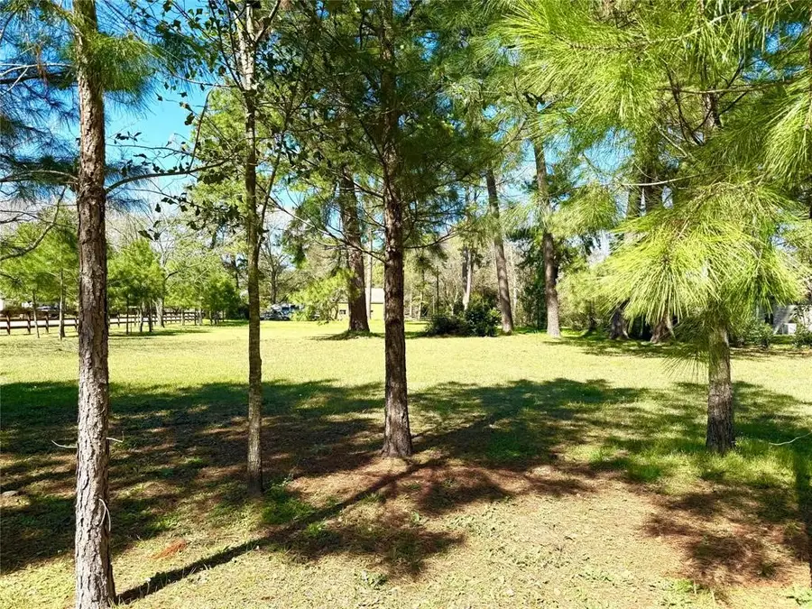 TBD Roselake Drive, Tomball, TX 77377 - #2