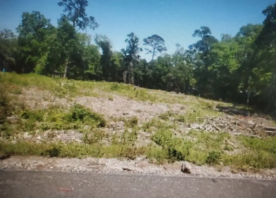 10821 Fm 1409, Dayton, TX 77535 - Image #2