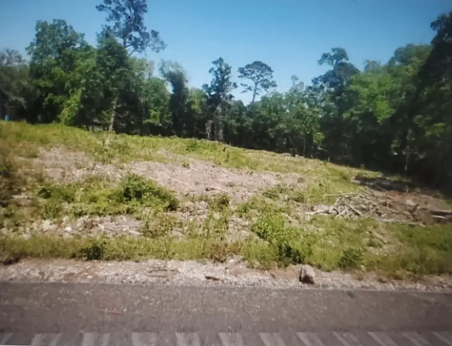 10821 Fm 1409, Dayton, TX 77535 - Image #3