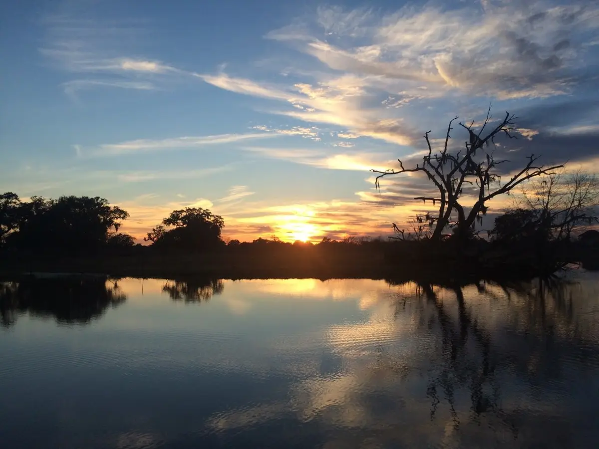 16427 Majestic Oaks Drive, Rosharon, TX 77583 - #1